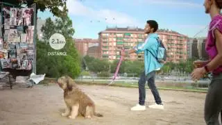 vivofit Join The Movement
