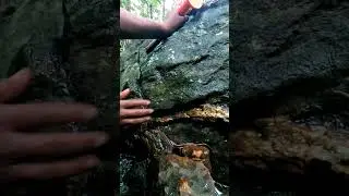 Crystal Hunting Adventure: Found an Epic Crystal Vein! 😲💎🤯 #Crystals #Shorts