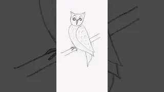 Owl Drawing || #owl #owls #owlcraft #owldrawing #art #viral #tutorial #ytshorts #ytshort #shorts
