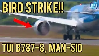 BIRD STRIKE through the engine!! TUI B787-8