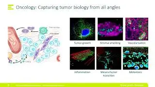 Comprehensive tumor modeling: Applications in discovery and development of nextgen oncology drugs
