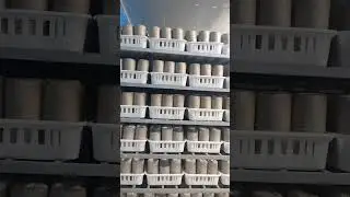 Fully mushroom bagging and sticking machine #mushroommachine #mushroomgrowing #mushroomcultivation
