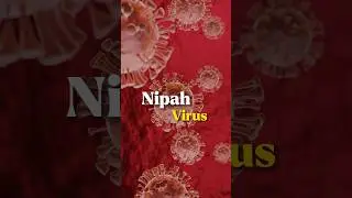 NIPAH Virus 🦠 alert in INDIA | Dr. Pratishtha Explains NIPAH Virus | Ytshorts