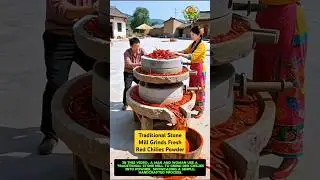 Traditional Stone Mill Grinds Fresh Red Chilies Powder