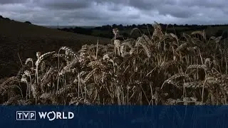 Controversy over Ukrainian grain ban: European Commission's stance | Midday Report