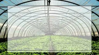 Professional Pest Control Products Online