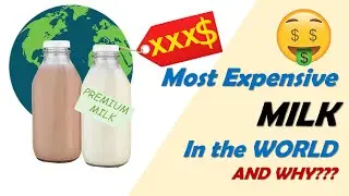 Most Expensive Milk in The WORLD and WHY