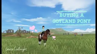 Buying a Gotland Pony! (+ Mane styles and gaits!) ❤️ || Star Stable Online || SSO ||