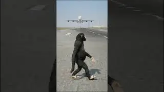 Monkey Accidently Came During Airplane Landing | Grand Theft Auto V #shorts
