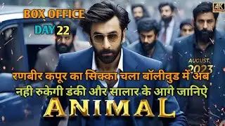 Animal Box Office Collection, Animal Box Office Collection Day 21, Ranbir Kapoor