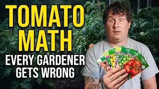 The Tomato Math Every Gardener Gets Wrong