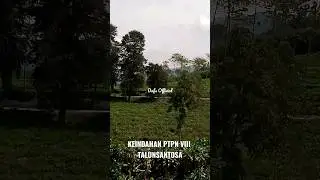 KEINDAHAN PTPN VIII TALUNSANTOSA #ptpn #kebunteh #talun #santosa #perkebunanteh #kabbandung #bandung