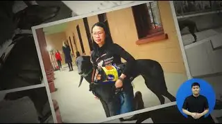 Make the Impossible, PAW-sible! | All About Autism Assistance Dogs