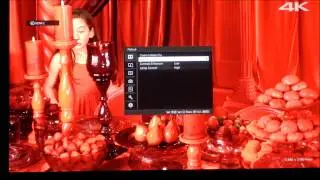 SONY VPL VW500ES