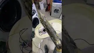 Ремонт Водонагревателя Thermex MK80 (замена ТЭНа)