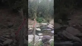 Rellin Rangit Farm Stay Bijanbari - worst home stay