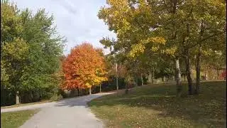 Bluffer&rsquo;s Park & Beach #beach #lakeontario  #scarborough #viral #scarboroughbluffs #fall #canada 