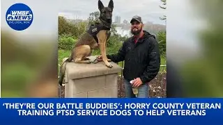 &lsquo;They&rsquo;re our battle buddies&rsquo;: Horry County veteran training PTSD service dogs to help veterans