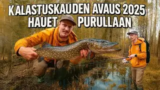 kalastuskauden avaus 2025- hauet purullaan