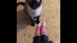 Не пытайтесь, повторить это дома! Трюки выполнены, профессионалами!!! 