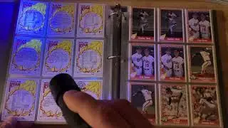 Nolan Ryan Texas Express Pacific &ldquo;Ghostwriting&rdquo; Baseball Card Hunt!! How many of these 540+ cards??