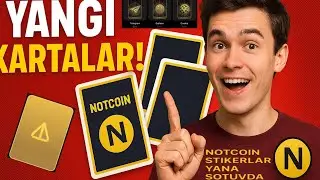 NOT COIN YANA QAYTI! Not coin Stikirlarni Olish Va Toʻgʻri Sotish