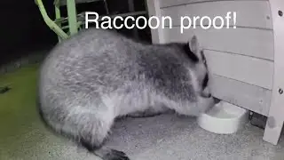 Raccoon proof cat feeder!
