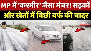 MP Weather News: MP में 'कश्मीर' जैसा मंजर! सड़कों और खेतों में बिछी बर्फ की चादर | Cold | Hailstorm