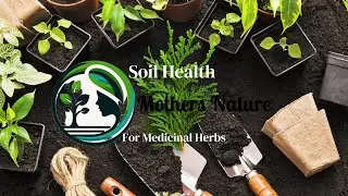 Soil Health Secrets for Thriving Medicinal Gardens