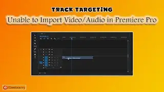 Track Targeting: Unable to Import Video/Audio in Premiere Pro | Geek Savvy