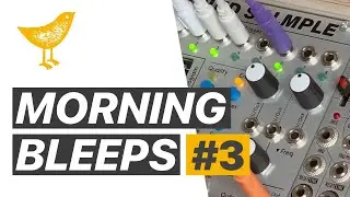 Morning Bleeps #3 - Ambient morning (with the ALM022 Squid Salmple from ALM Busy Circuits)