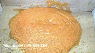 Papaya Fruit Pulp Processing Line