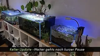 Keller Update -Weiter gehts nach kurzer Zwangspause, Garnelenblock der erste und immer was zu tun