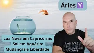 Áries seja mais objetivo nas questões da vida, execute tarefas que antes tu não sentia firmeza.