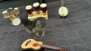 The BocknRoll Band Practice