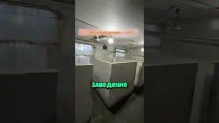 Кафе в туалете!