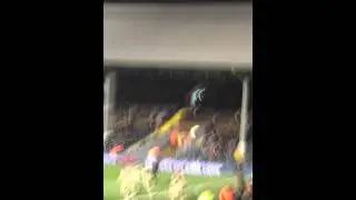 Sol Bamba's goal v Fulham & Celebrations