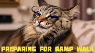Top Pet Supermodels of 2025 ⭐ Cutest Runway Moments You Must See!&rdquo;