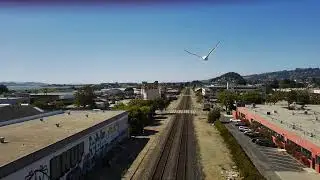 Chasing Berkeley drones