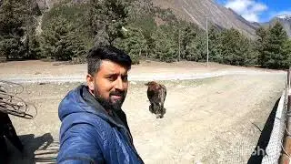 Chame to Manang /Green lake /gangapurna Lake 