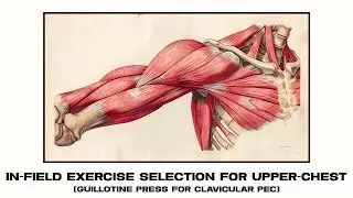 The occult guillotine press. Hit upper chest every-time. Building a striated, masculine chest.
