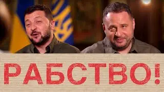 Зеленский и Ермак в Украине ЛЕГАЛИЗОВАЛИ