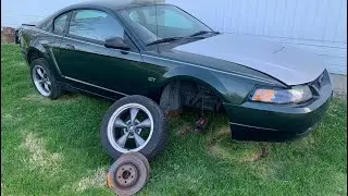 2001 mustang bullitt dark highland green parted out