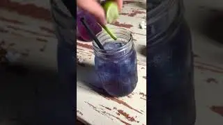 Color Changing Purple Drink! (butterfly pea flower tea with lemon)