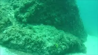 Подводная охота на Чёрном море в Крыму