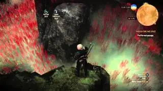 The Witcher 3: Wild Hunt Through Time and Space: Find the Next Passage: Navigate the Gas World PS4