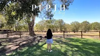 Kings Park and Watertown Brand Outlet Centre | Perth Vlog | Australia 🌳