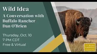 Wild Idea: A Conversation with Buffalo Rancher Dan O'Brien