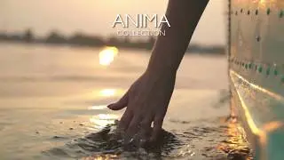 Anima Collection | Apavisa