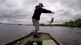 ToledoBendLoLife - Find the grass Find the bass Blue Lake